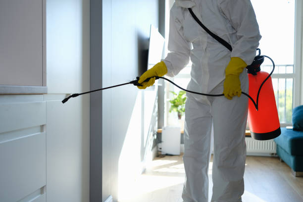 Best HVAC Mold Remediation in Spanish Fork, UT
